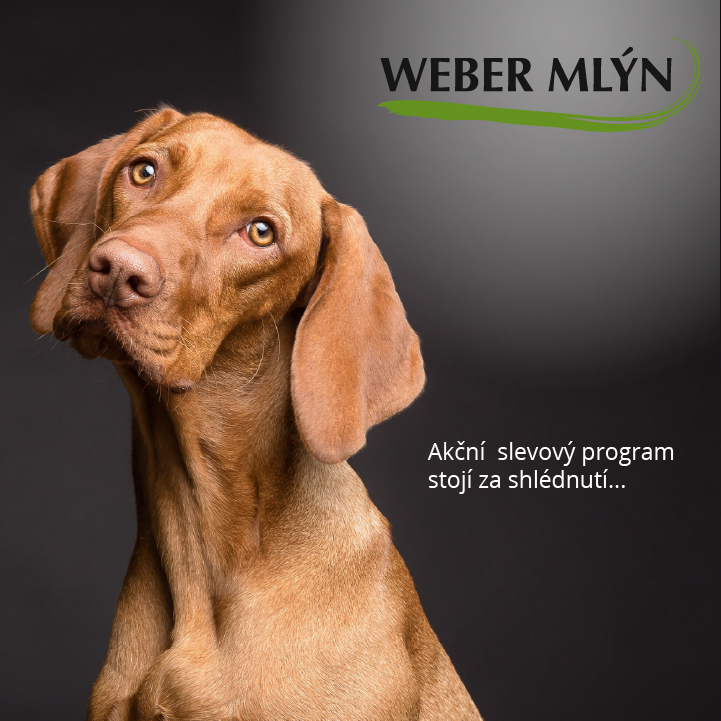 Inzerce Weber mlyn-08