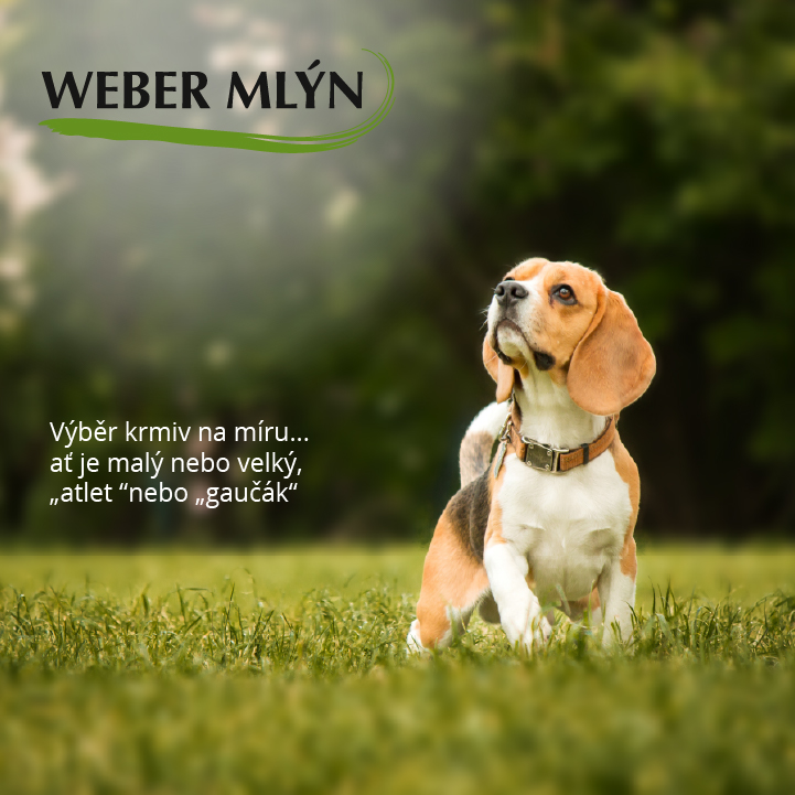 Inzerce Weber mlyn-10