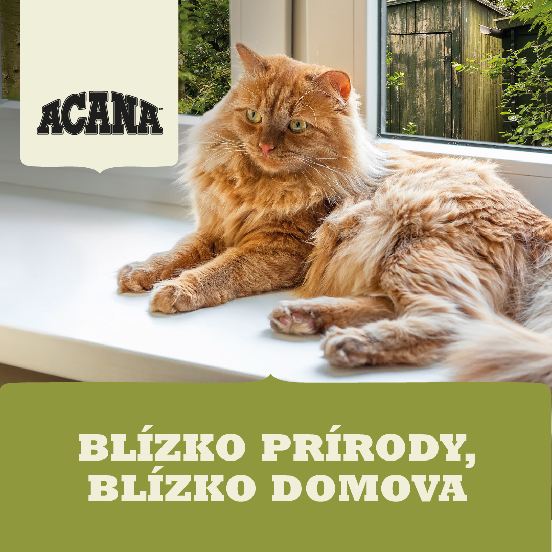 Zrzavá mačka leží na bielom parapete pri okne s logem ACANA